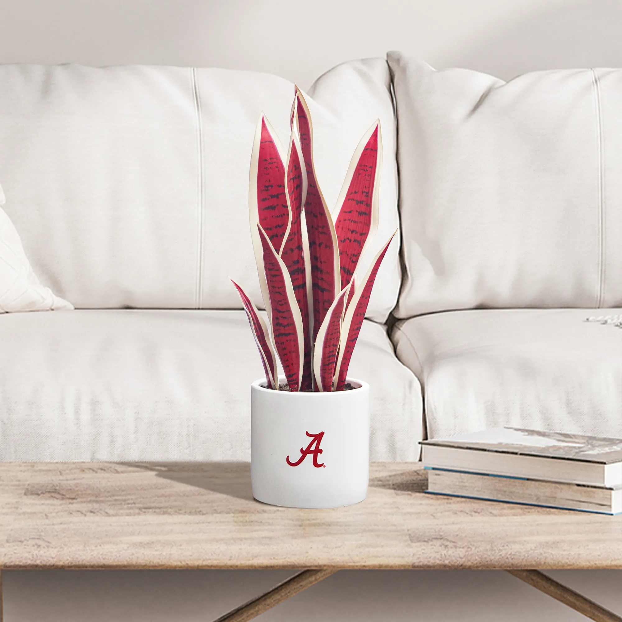 Alabama Crimson Tide Faux Snake Plant & Hydrangea