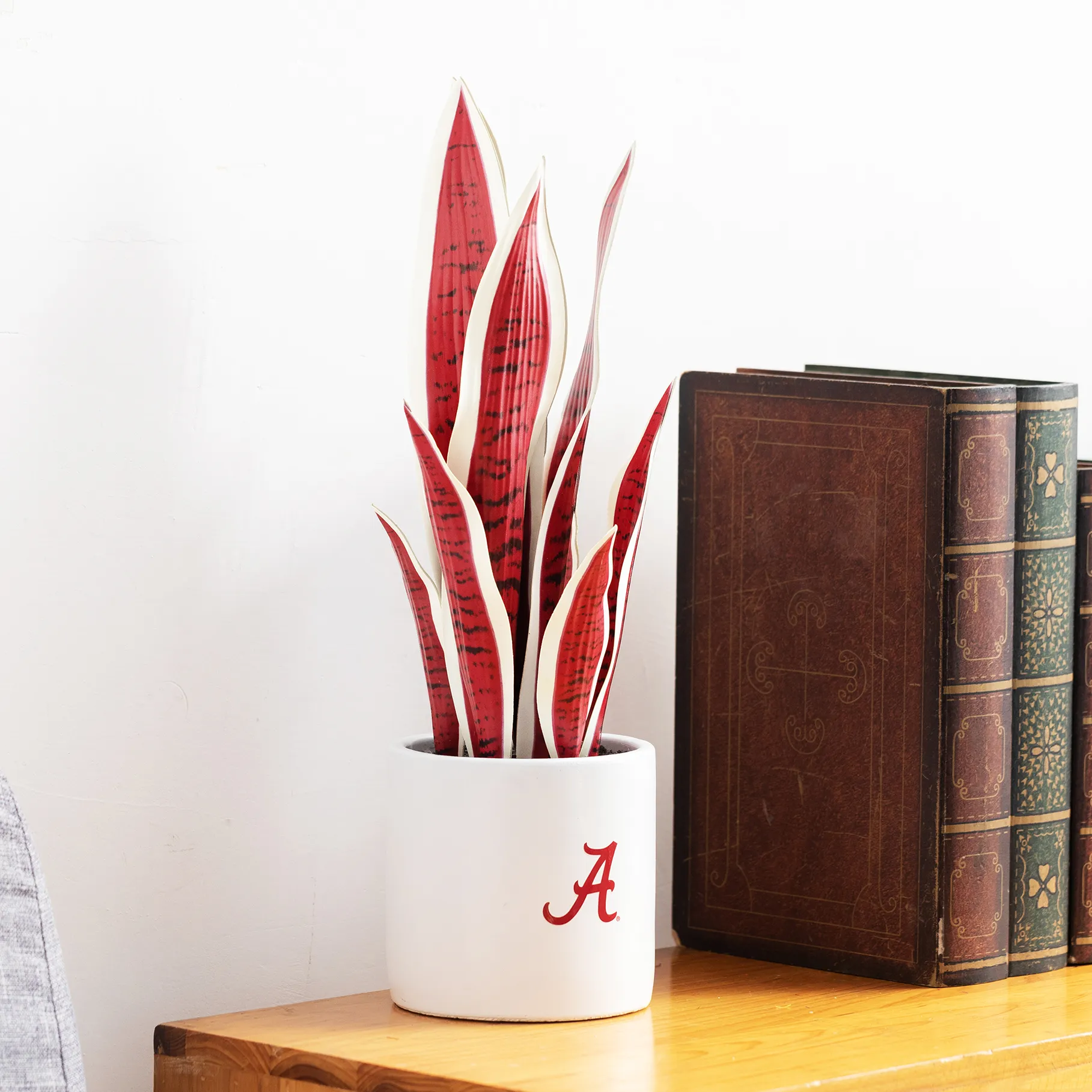 Alabama Crimson Tide Faux Snake Plant & Hydrangea