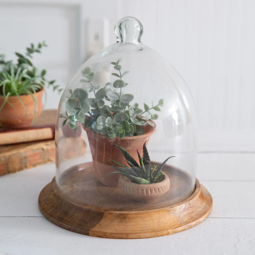 Glass Bell Shaped Cloche with Wood Base