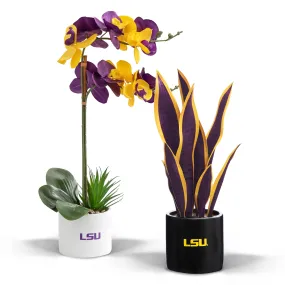 LSU Tigers Faux Snake Plant & Orchid