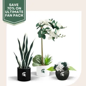 MSU Spartan Faux Snake Plant, Orchid & Hydrangea