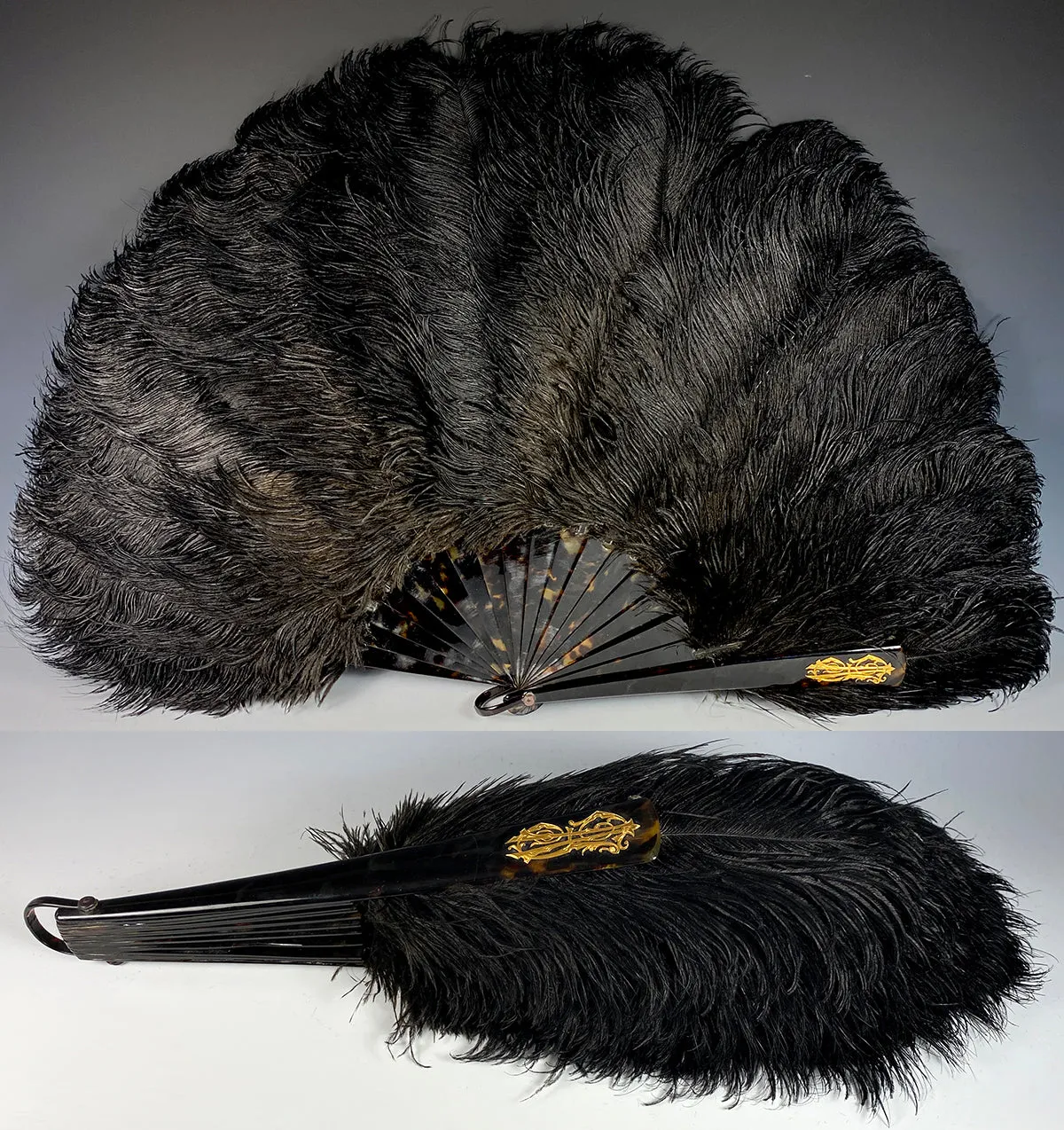 Opulent Large French Ostrich Feather and Tortoise Shell Hand Fan, 24cm Guards w Gold Monogram.