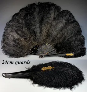 Opulent Large French Ostrich Feather and Tortoise Shell Hand Fan, 24cm Guards w Gold Monogram.