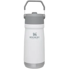 Stanley The IceFlow Flip Straw Water Bottle 17oz